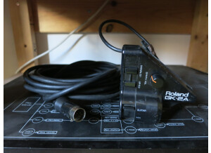 Roland GR-50 (85058)