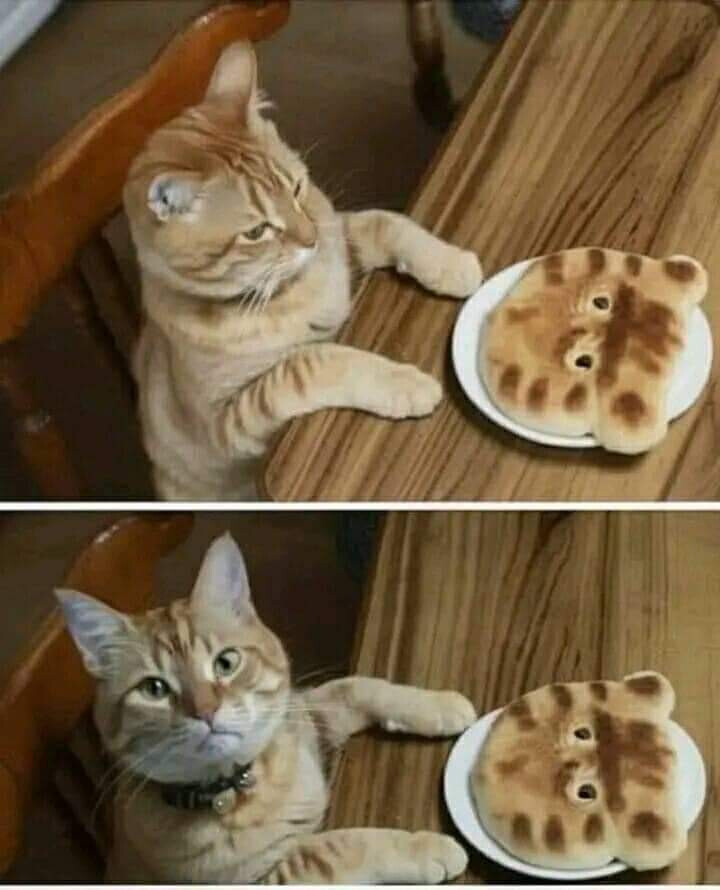 6193445.jpg 6193445.jpg