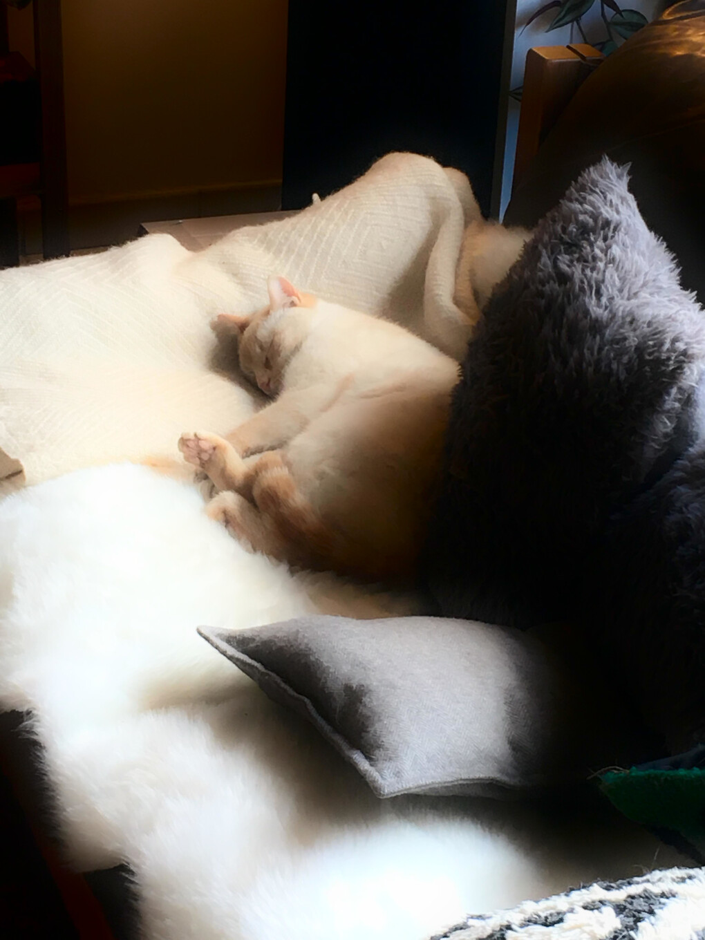 6194964.jpg 6194964.jpg