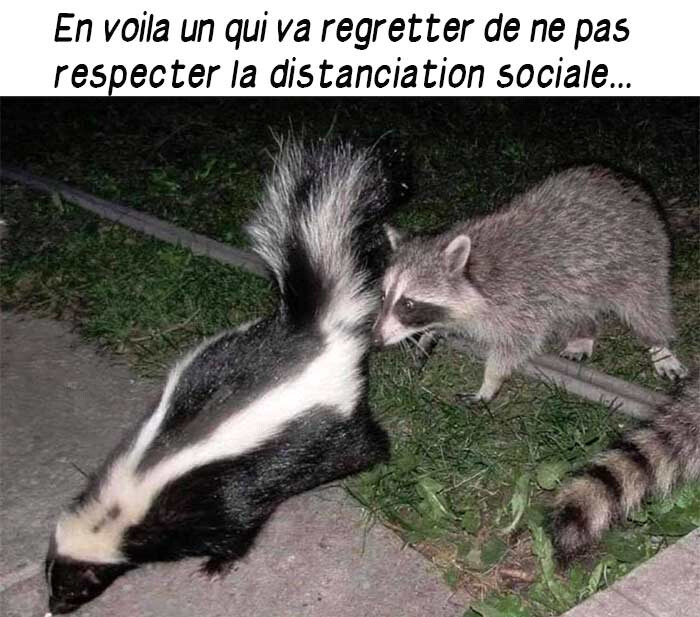 6195408.jpg 6195408.jpg