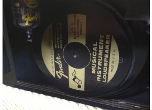 Fender Blues Deluxe Reissue (8028)