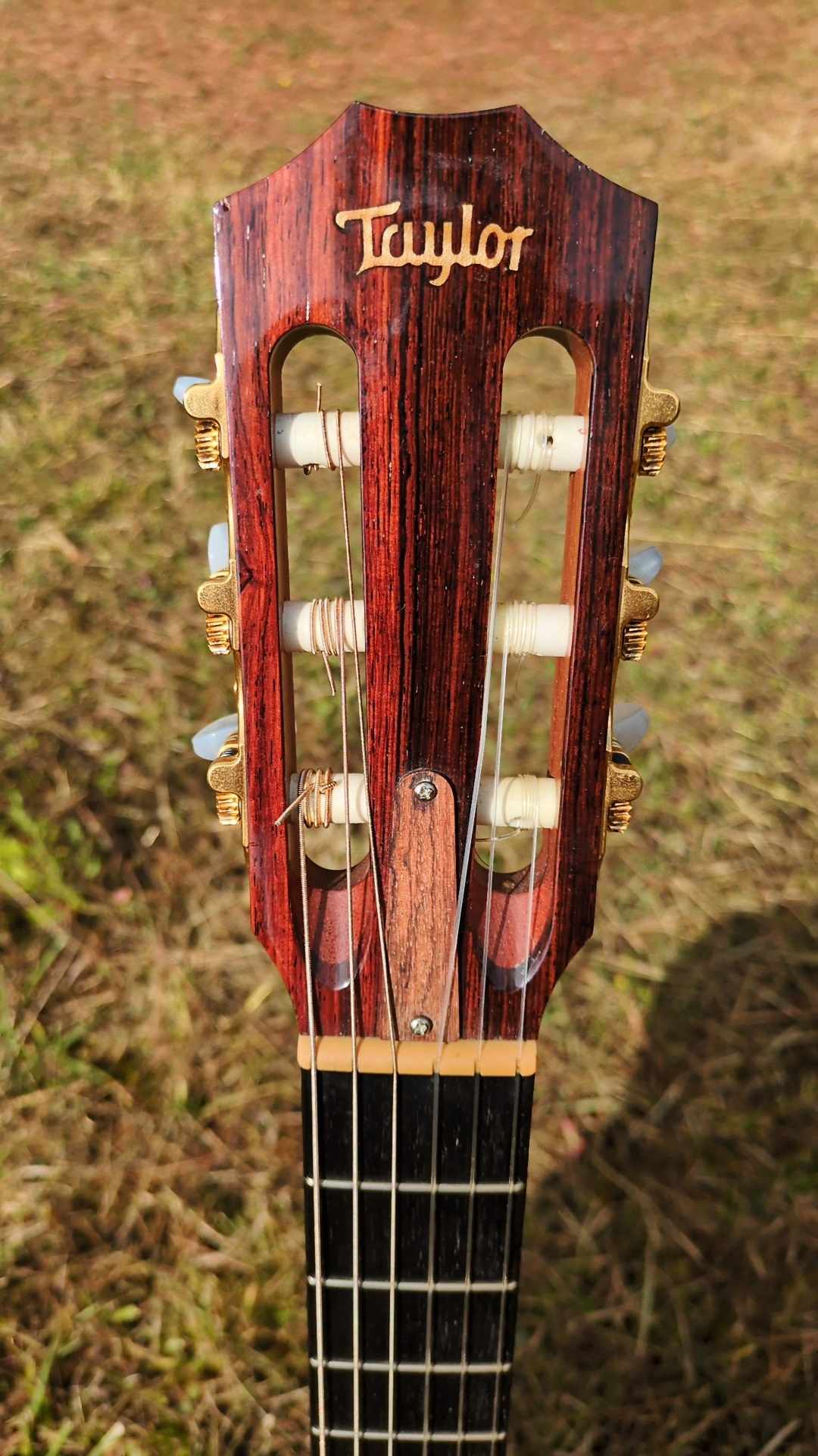 TAYLOR NS64ce 2300 EUR