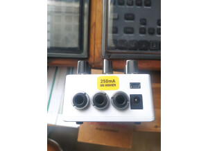 Red Panda Raster 2 (64061)