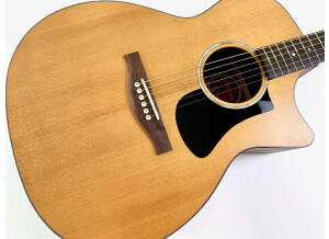 Eastman PCH1-GACE (20425)