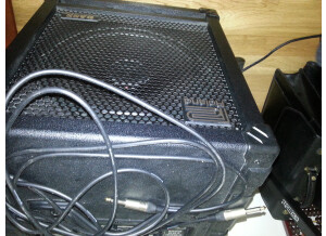 Roland Cube-100 Bass (58355)