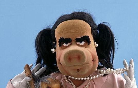 6203751.jpg 6203751.jpg