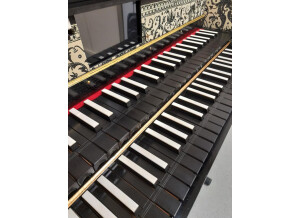 Roland C-30 Digital Harpsichord (75036)