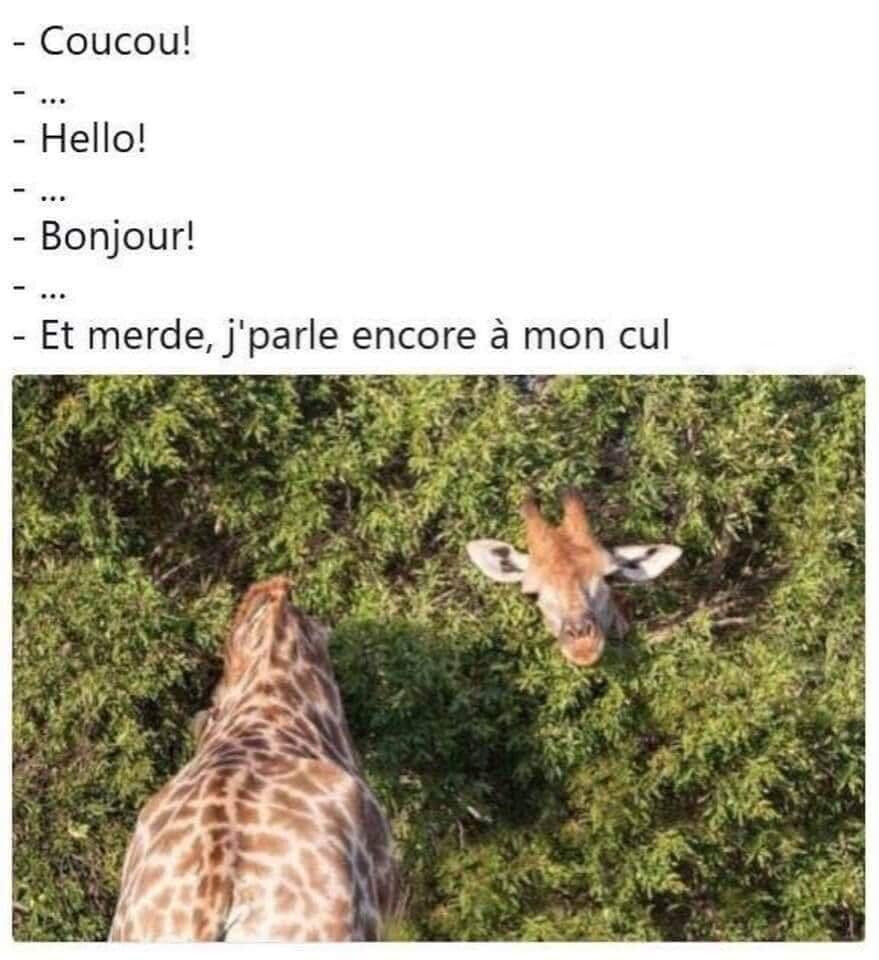 6205042.jpg 6205042.jpg
