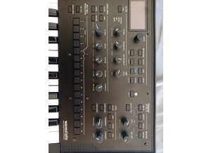 Korg Wavestate (84270)