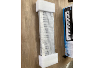 Alesis QX49 (62602)