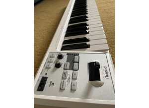 Roland A-49 (21448)