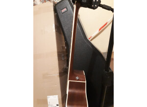 Tanglewood TW15 NS CE (7515)
