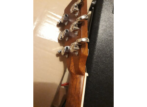 Tanglewood TW15 NS CE (82419)