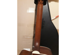 Tanglewood TW15 NS CE (1667)