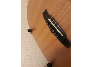 Tanglewood TW15 NS CE (86759)