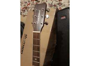 Tanglewood TW15 NS CE (50057)