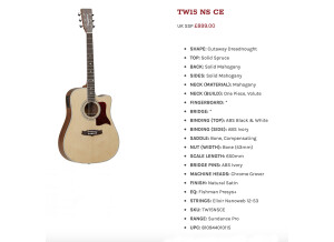 Tanglewood TW15 NS CE (50204)