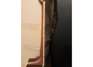 Tanglewood TW15 NS CE (26413)