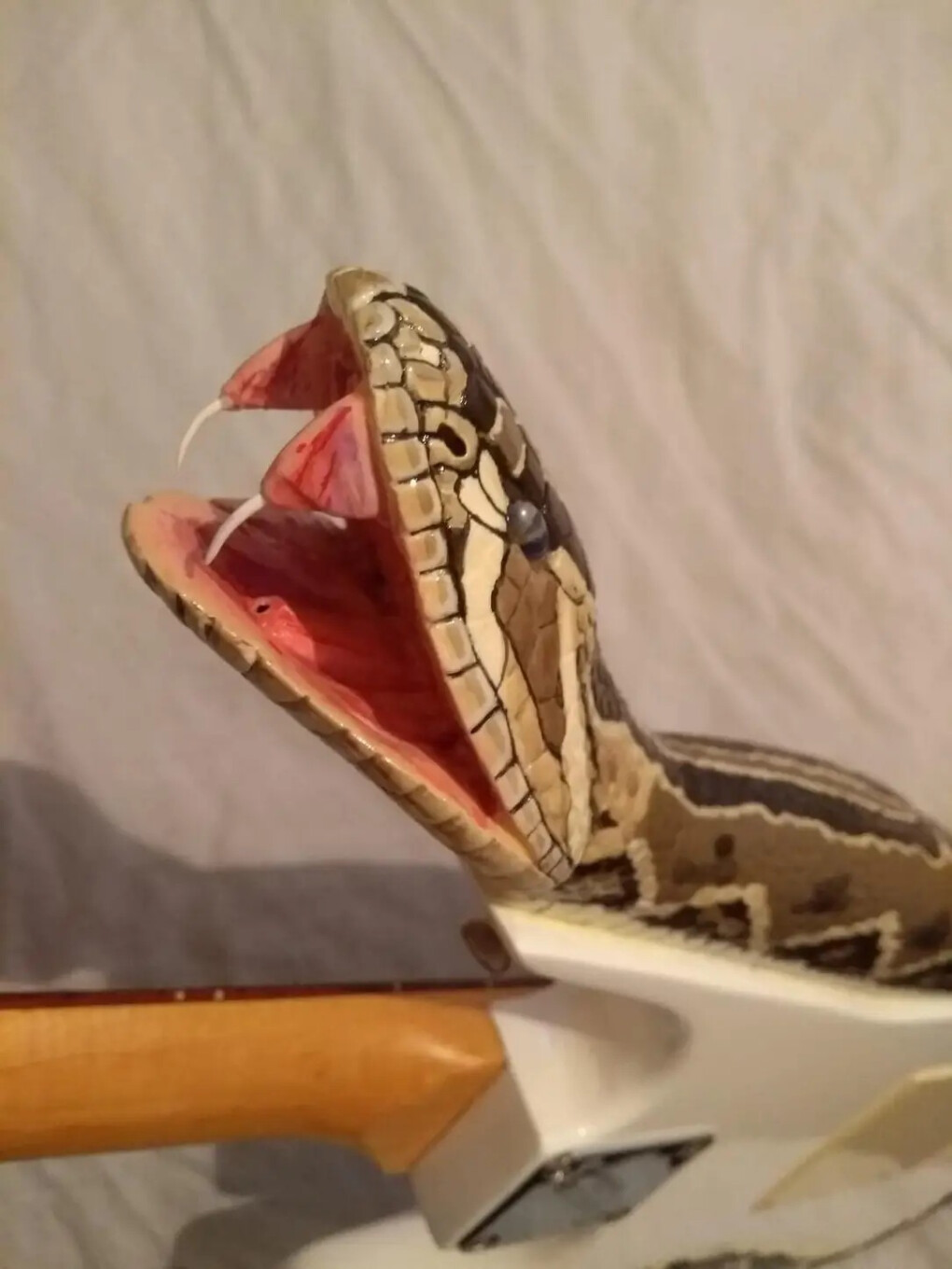 6206620.jpg 6206620.jpg