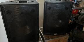 Vends paire APG DS15
