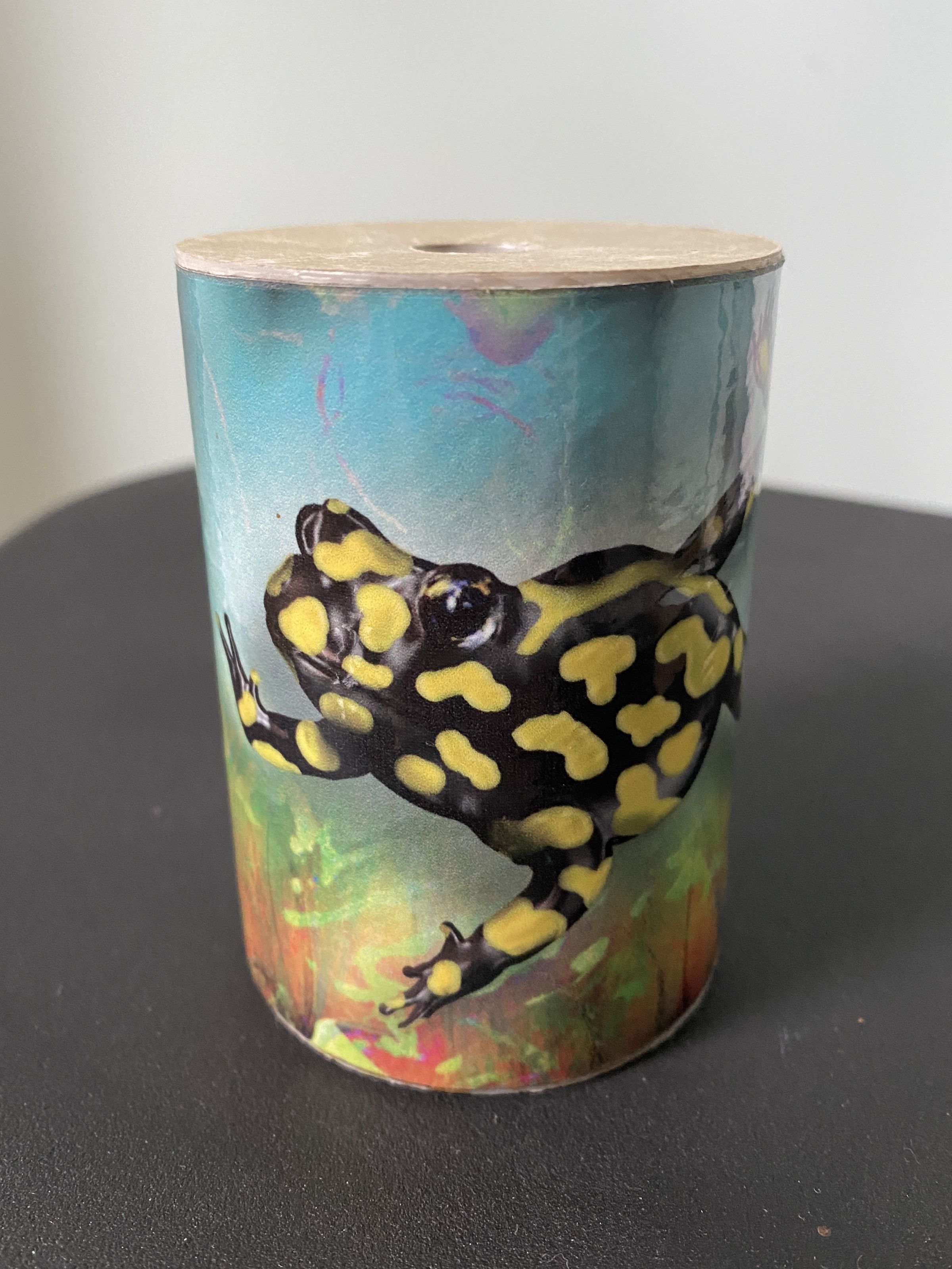 Vends Remo Fx Shaker