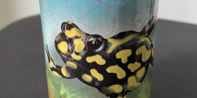 Vends Remo Fx Shaker