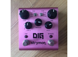 Strymon DIG (2175)