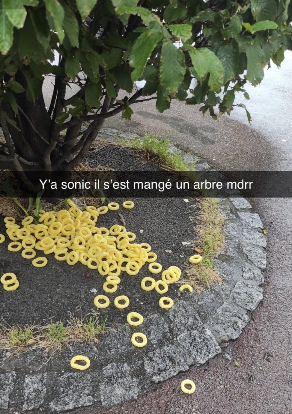 6209914.jpeg 6209914.jpeg