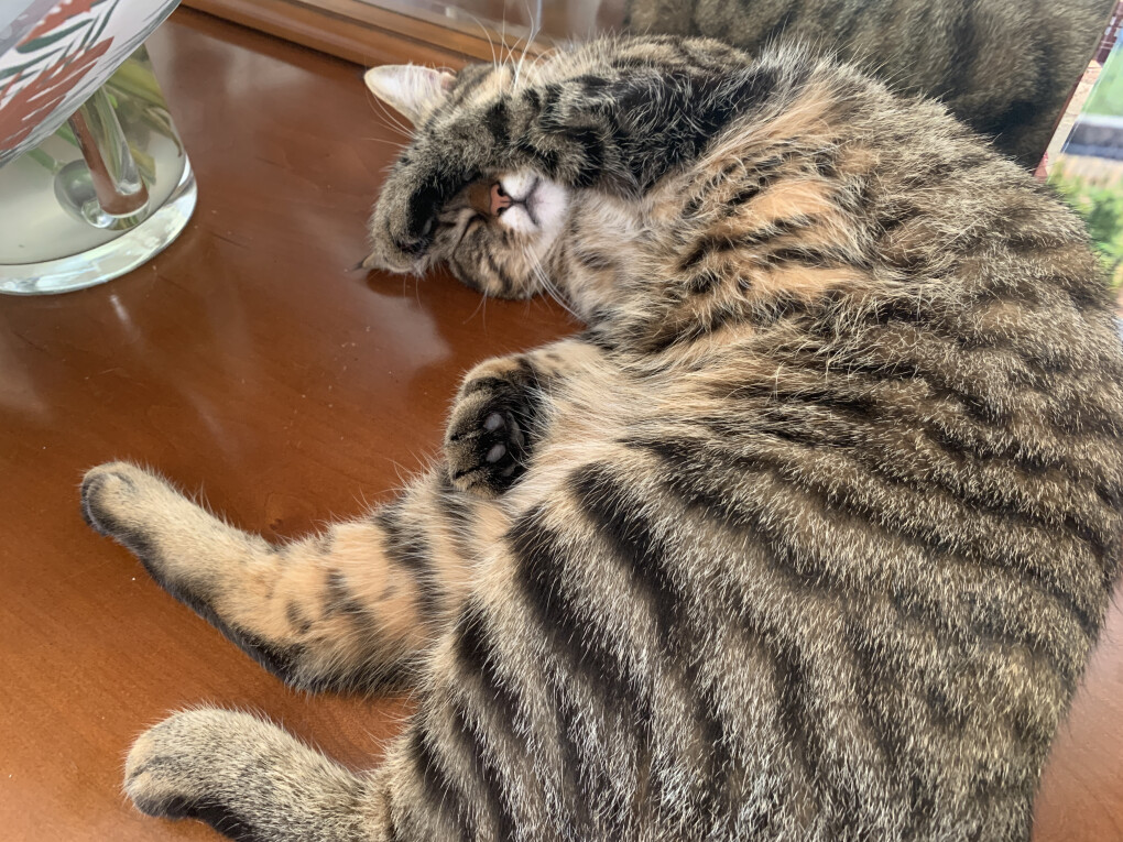 6211171.jpg 6211171.jpg