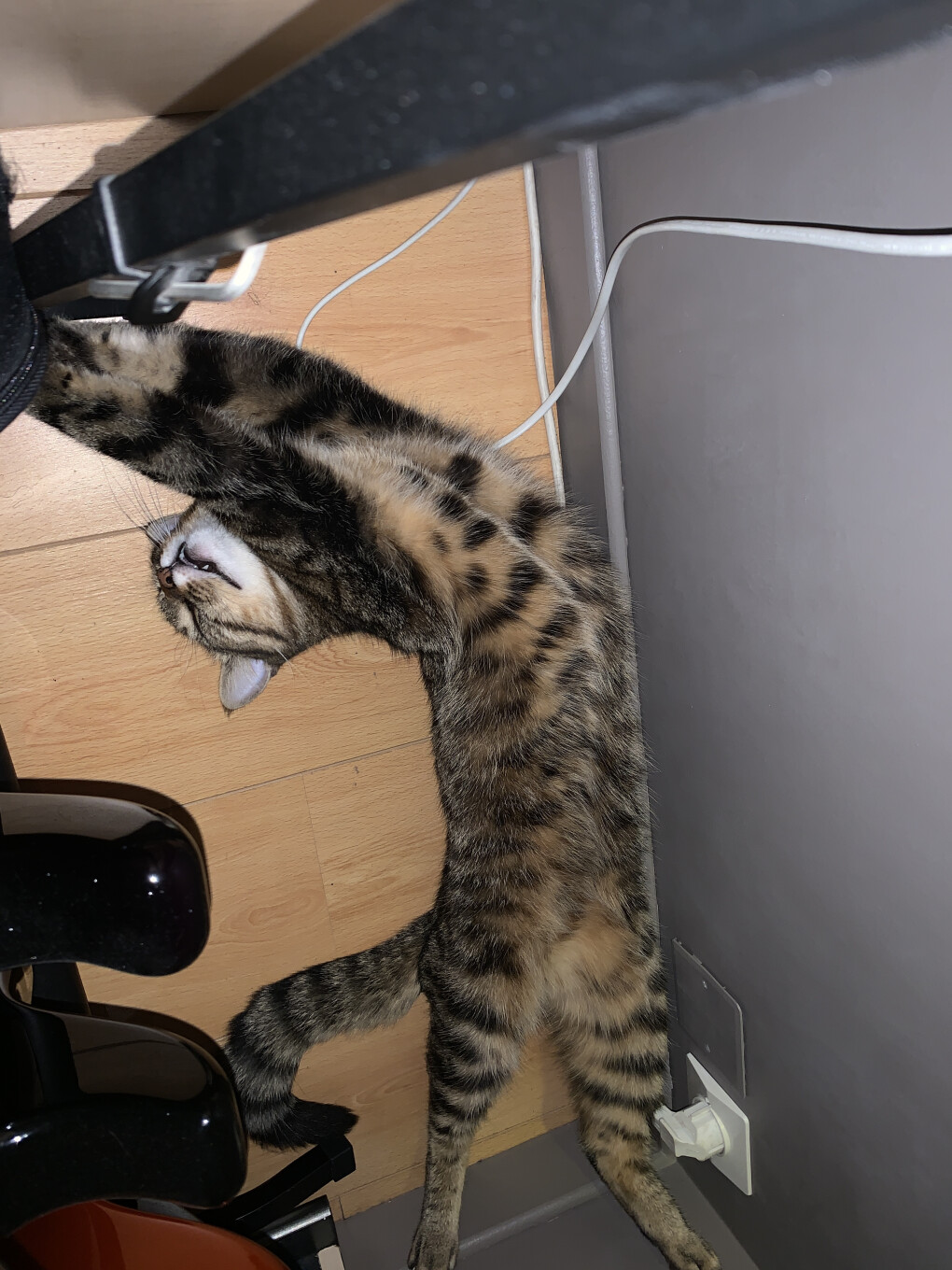 6211191.jpg 6211191.jpg