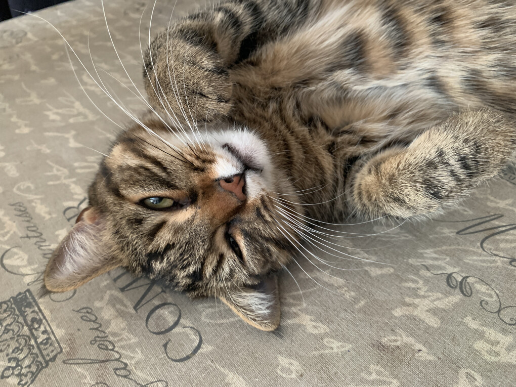 6211199.jpg 6211199.jpg