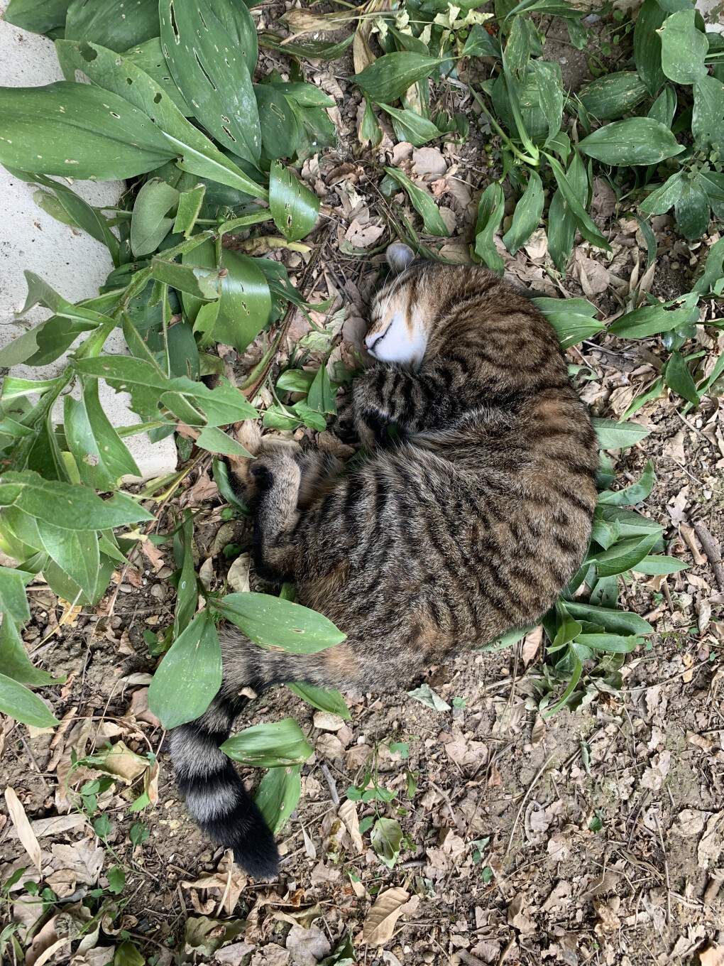 6211201.jpg 6211201.jpg