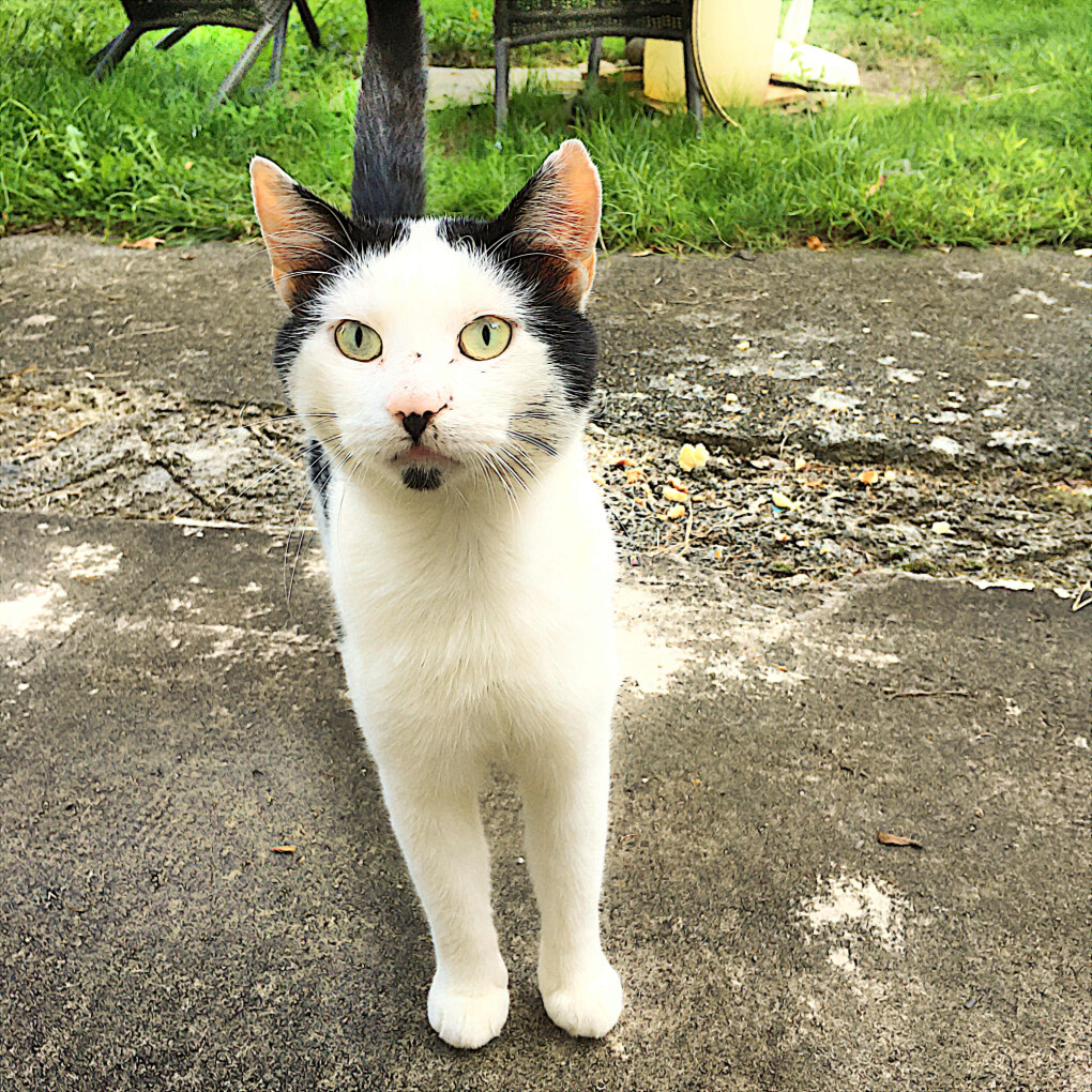 6212007.jpg 6212007.jpg