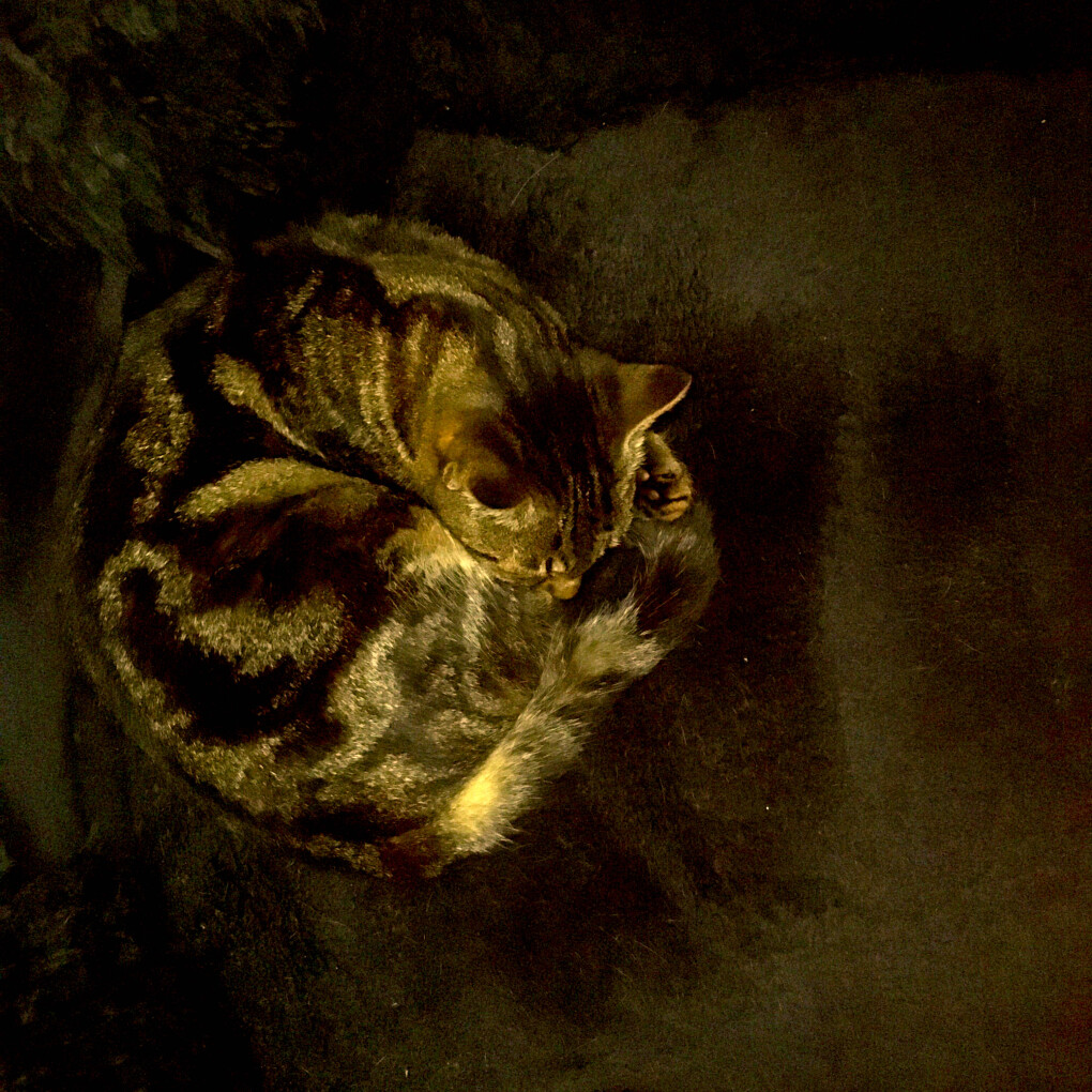 6212012.jpg 6212012.jpg