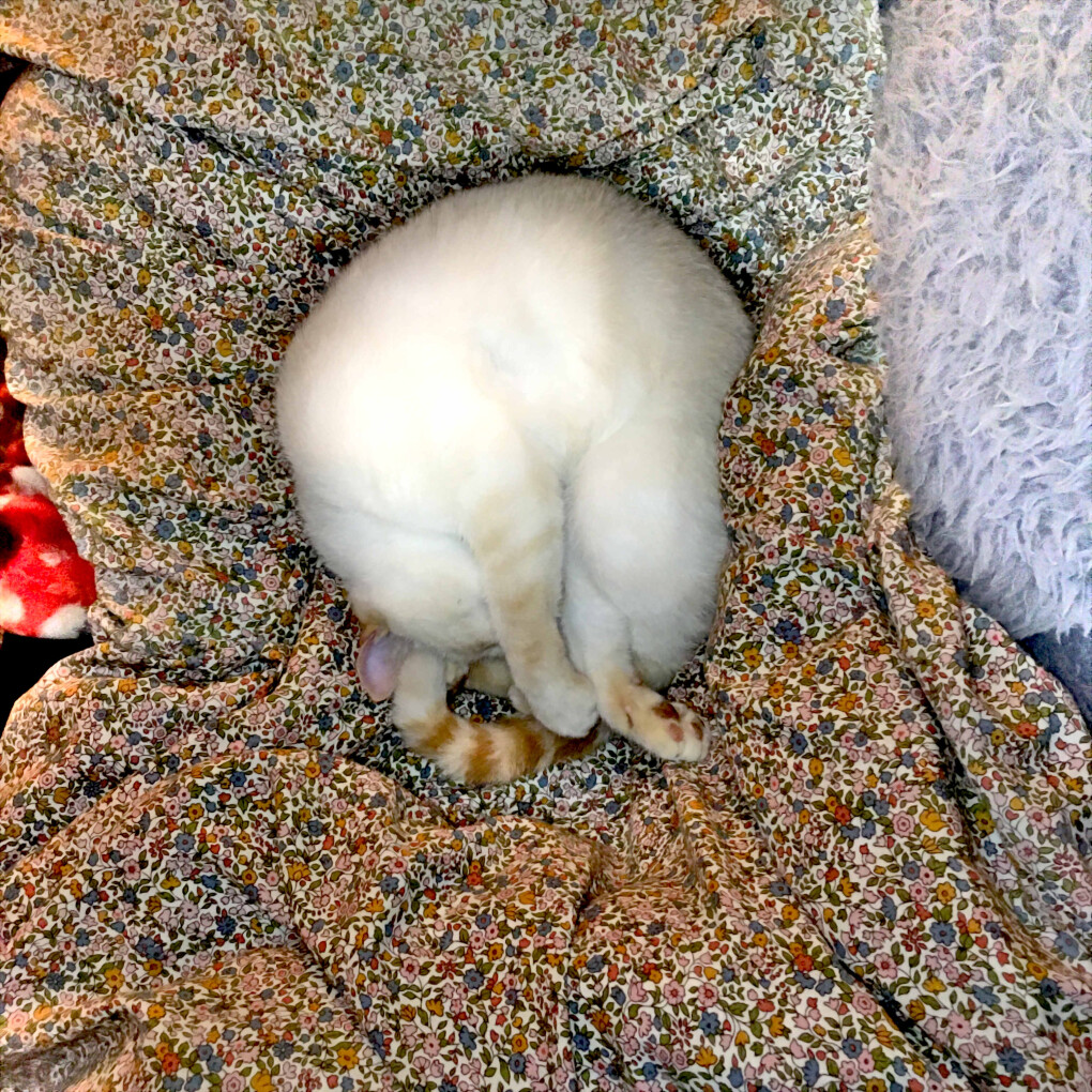 6212013.jpg 6212013.jpg