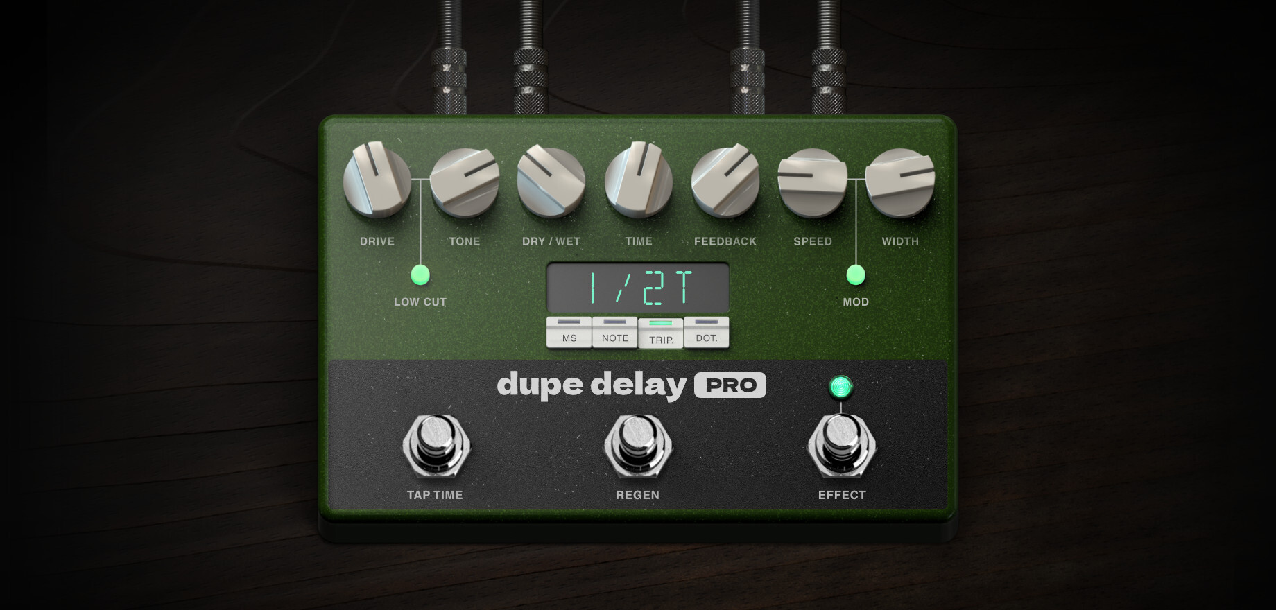 GenomeDupeDelay