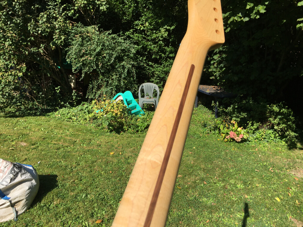 6212446.jpeg 6212446.jpeg