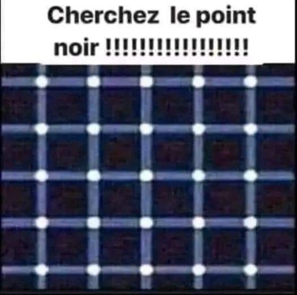 6212551.jpeg 6212551.jpeg