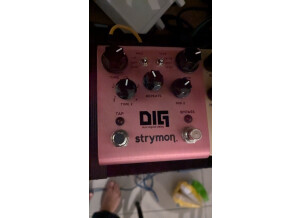Strymon DIG (998)