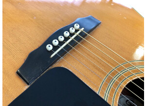 Guild D-50 (71596)