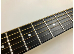 Guild D-50 (81439)