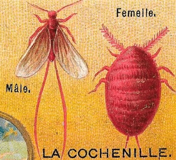 6215673.jpg 6215673.jpg