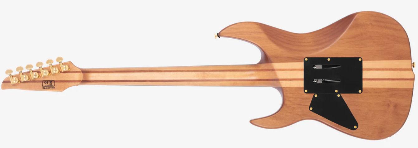 Larry Carlton X10Back