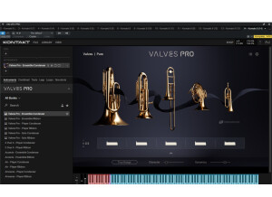 valves