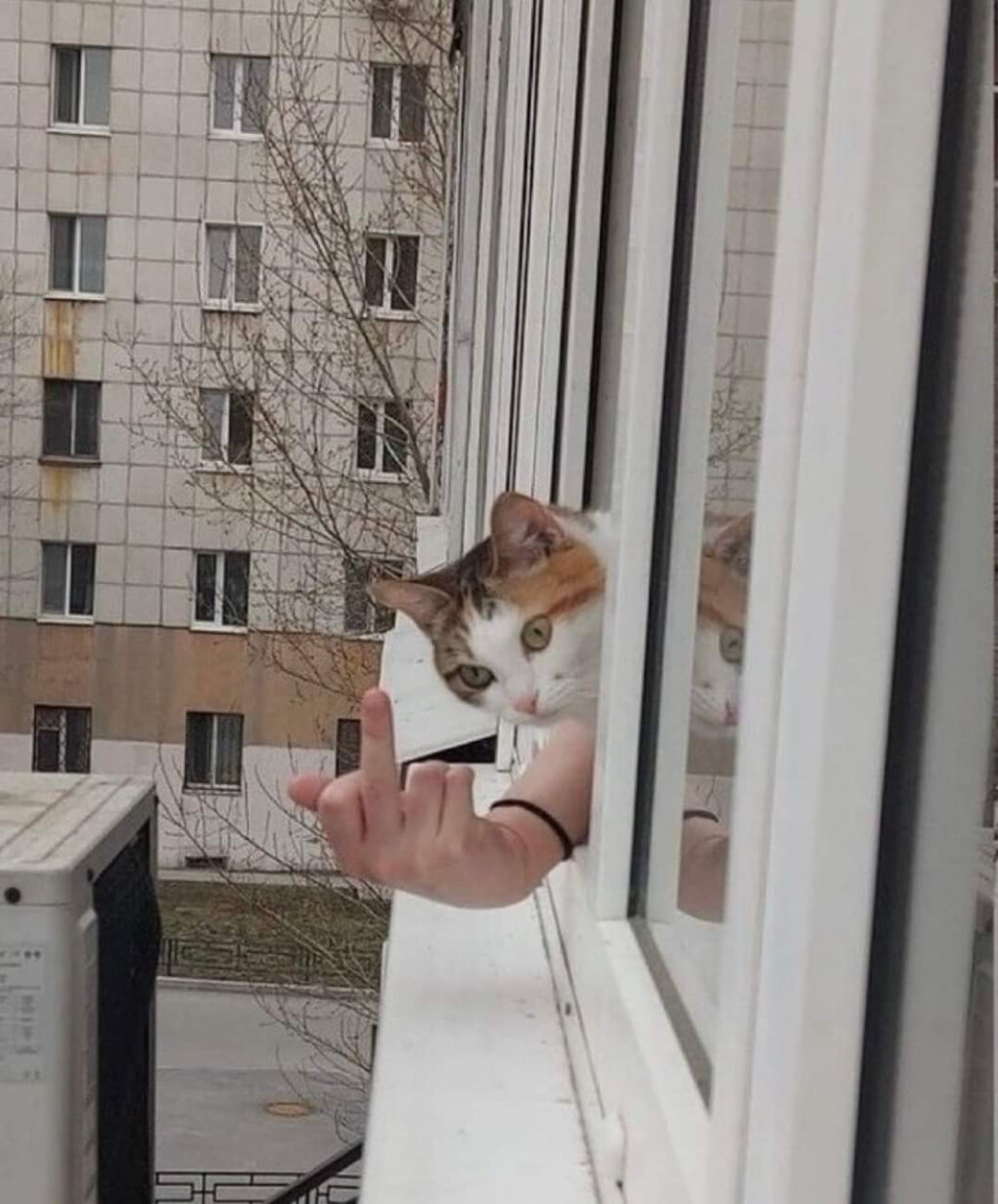 6217504.jpg 6217504.jpg