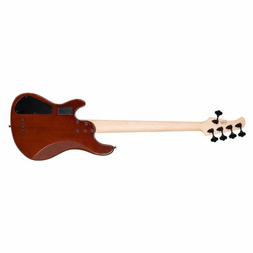 Cort GB-Fusion 5 : GB-Fusion 5BACK Cort GB-Fusion 5 : GB-Fusion 5BACK