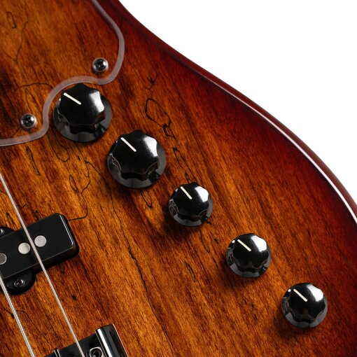 Cort GB-Fusion 5 : GB-Fusion 5Controls Cort GB-Fusion 5 : GB-Fusion 5Controls