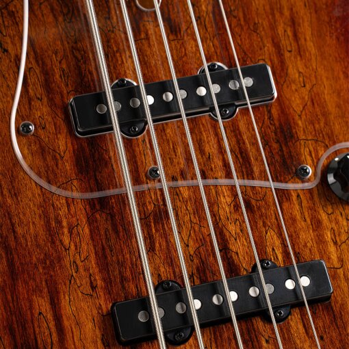 Cort GB-Fusion 5 : GB-Fusion 5Pickups Cort GB-Fusion 5 : GB-Fusion 5Pickups
