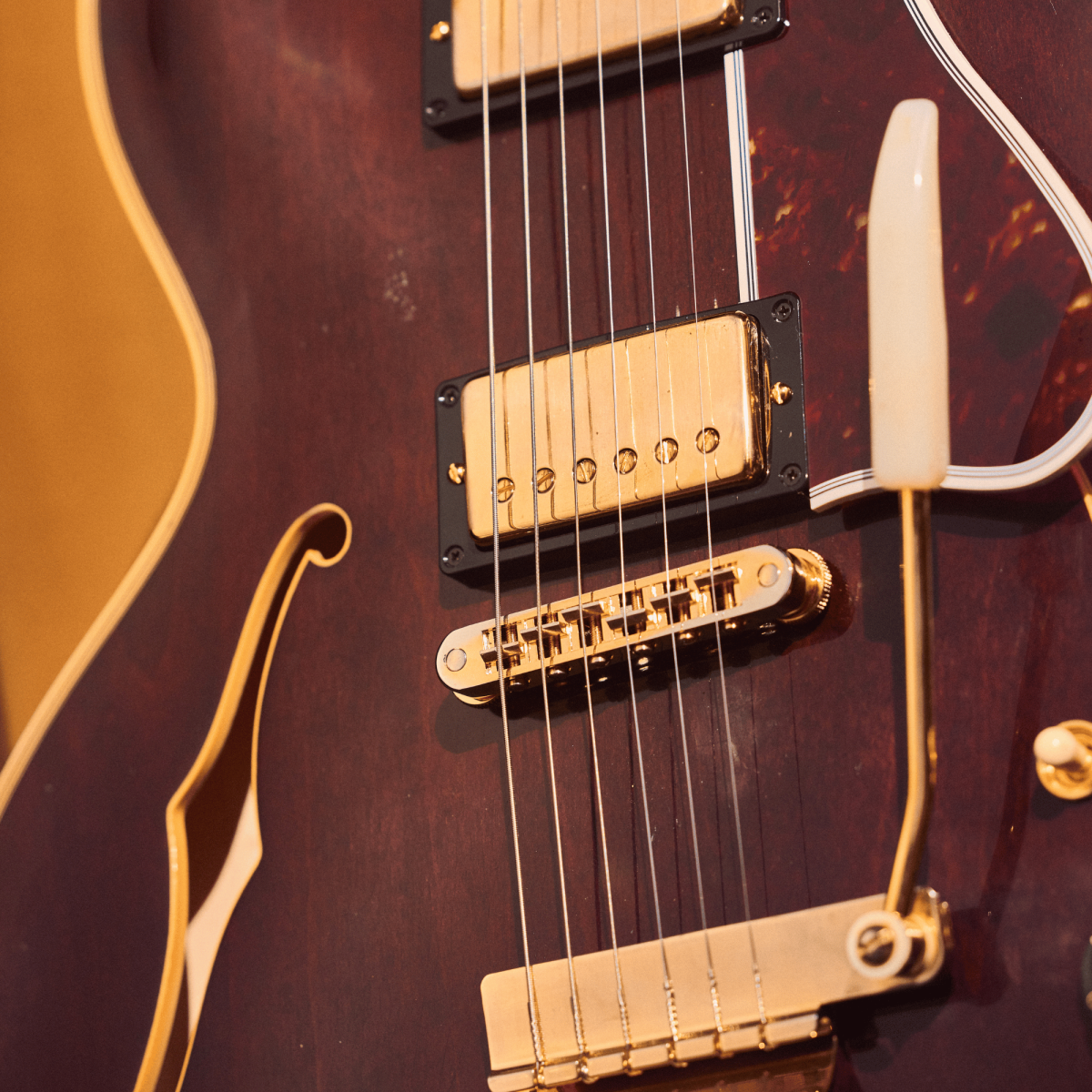 B.B. King &ldquo;Rumble in the Jungle&rdquo; 1974 ES-355Details2