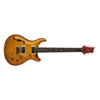DGT Semi-Hollow DGT Semi-Hollow